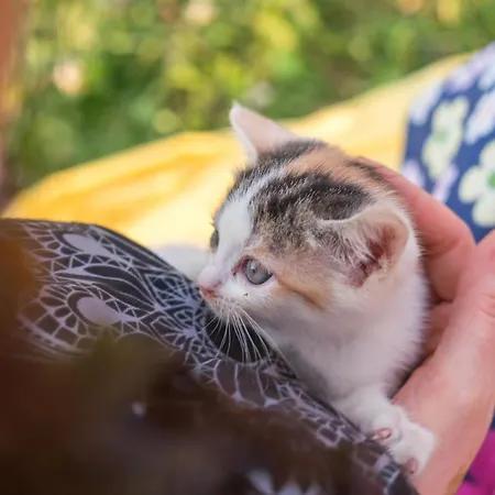 Salas Syrex 3* Zázrivá