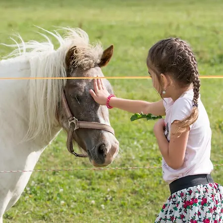 Salas Syrex Πανσιόν 3*