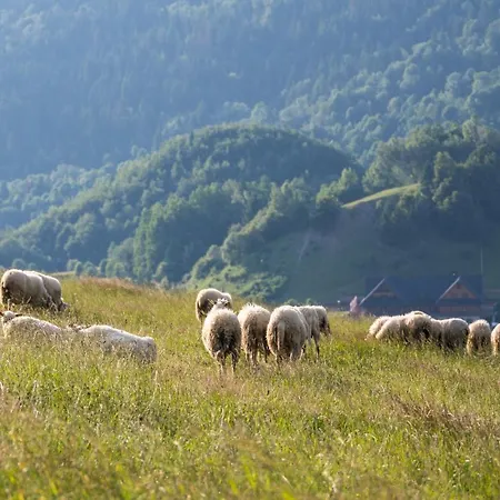 Pensjonat Salas Syrex Zázrivá