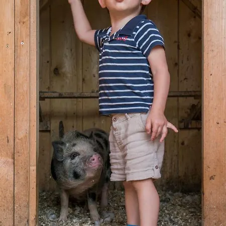 Salas Syrex 3* Zázrivá