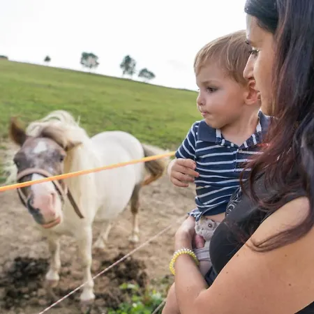 Salas Syrex Pensjonat 3*