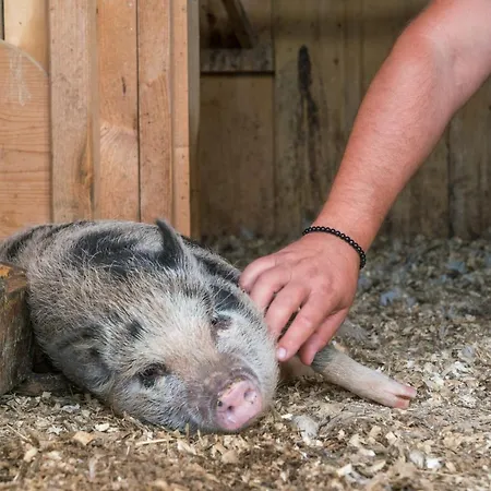 Salas Syrex Zázrivá