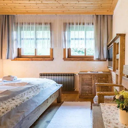 Salas Syrex Πανσιόν Zázrivá