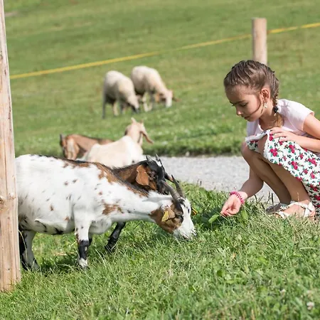 Salas Syrex 3* Zázrivá