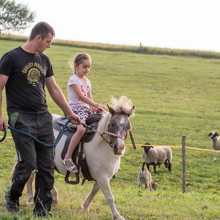 Salas Syrex Πανσιόν Zázrivá