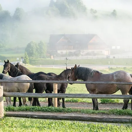 Πανσιόν Salas Syrex