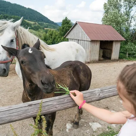 Πανσιόν Salas Syrex 3*