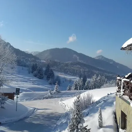 Salas Syrex Pensjonat Zázrivá