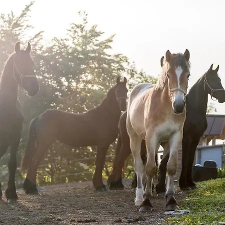 Salas Syrex 3* Zázrivá