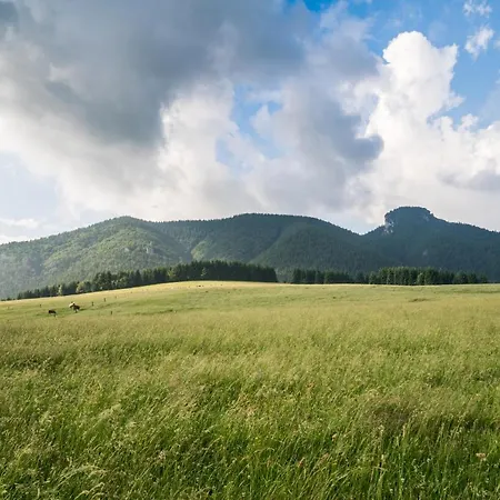 Salas Syrex Pensjonat 3*