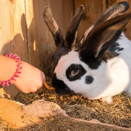 Πανσιόν Salas Syrex 3*