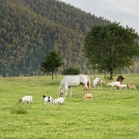 Salas Syrex Zázrivá