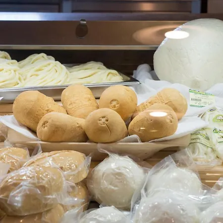 Salas Syrex Πανσιόν